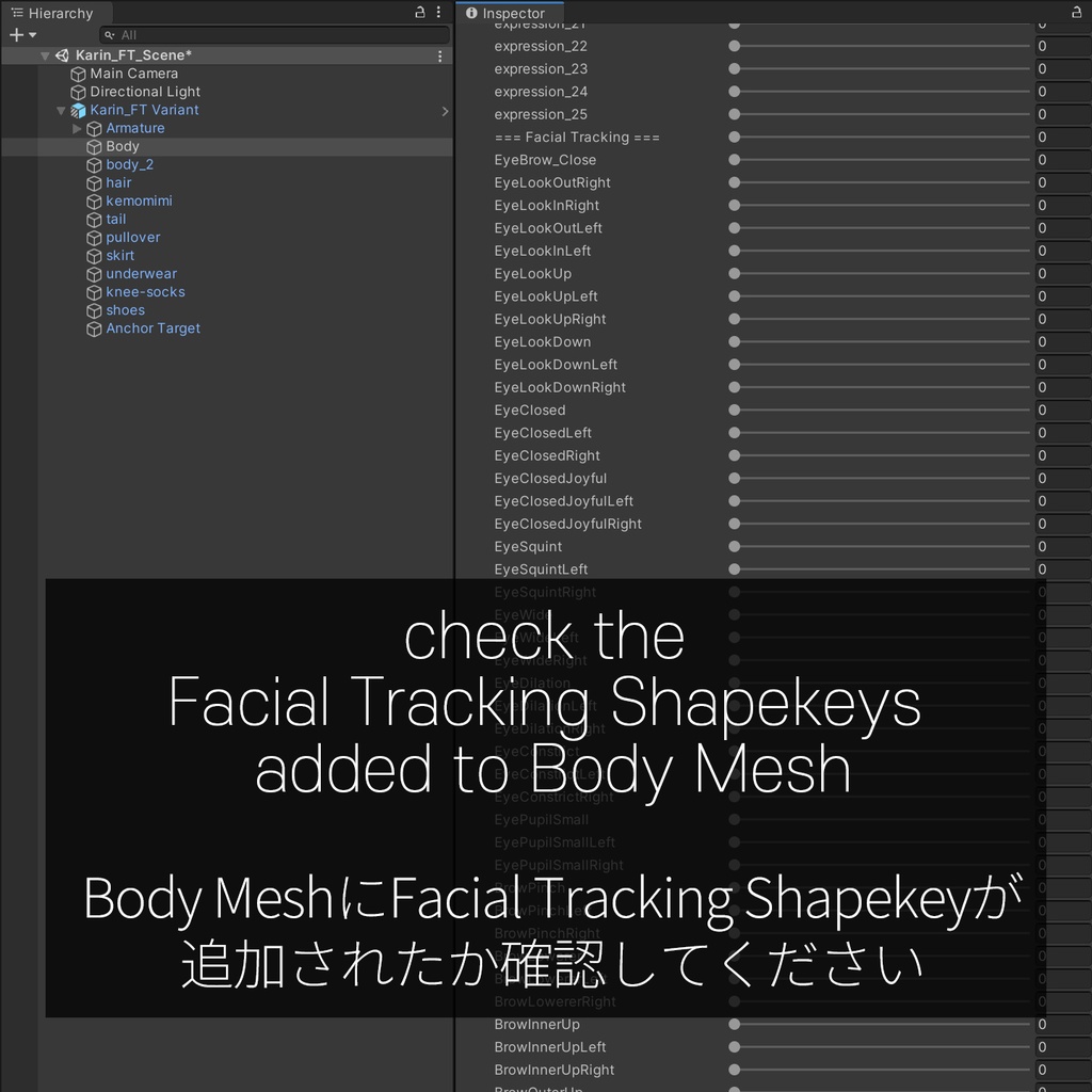 Karin(カリン)'s FacialTracking Setting