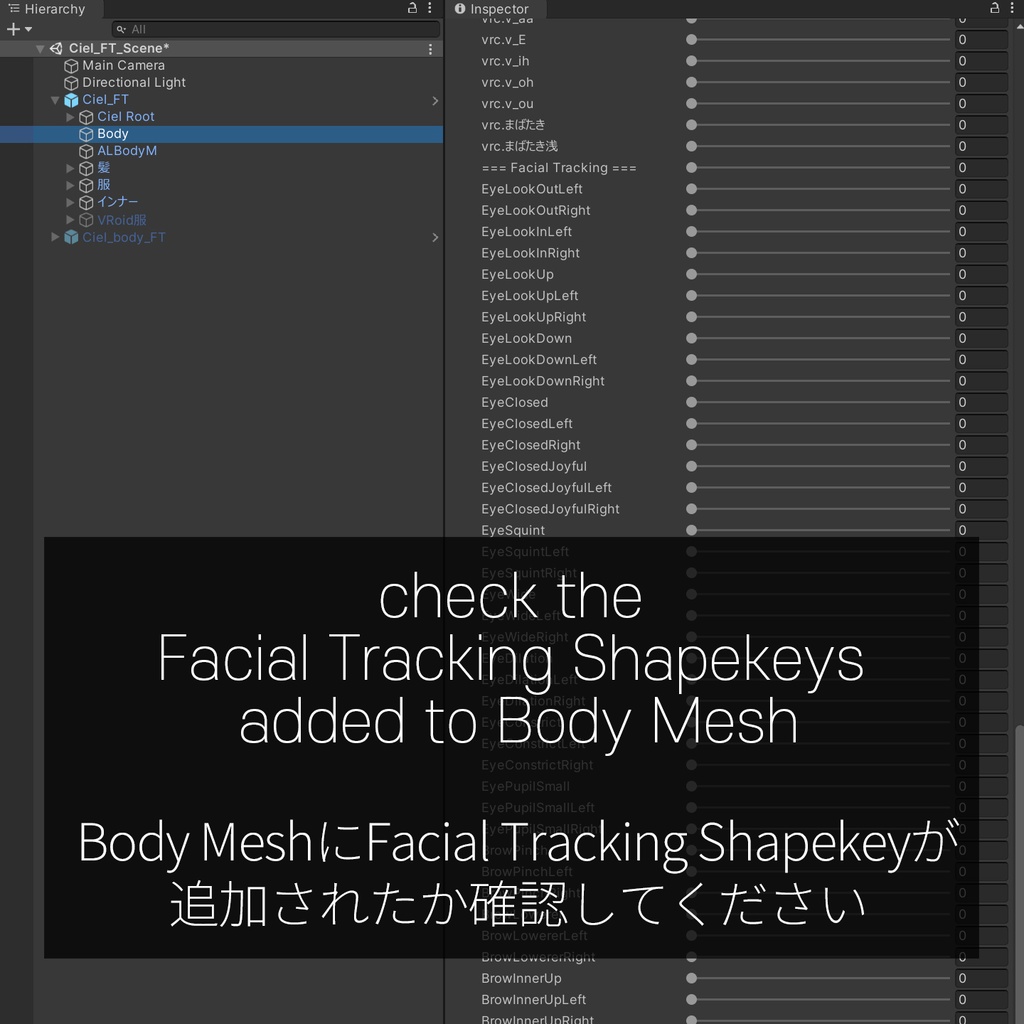 Ciel(シエル)'s FacialTracking Setting
