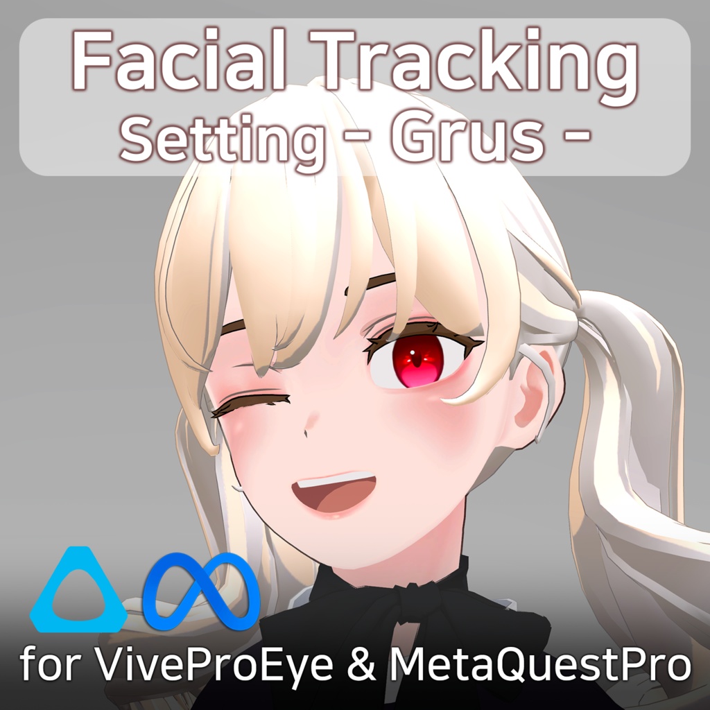 Grus's FacialTracking Setting