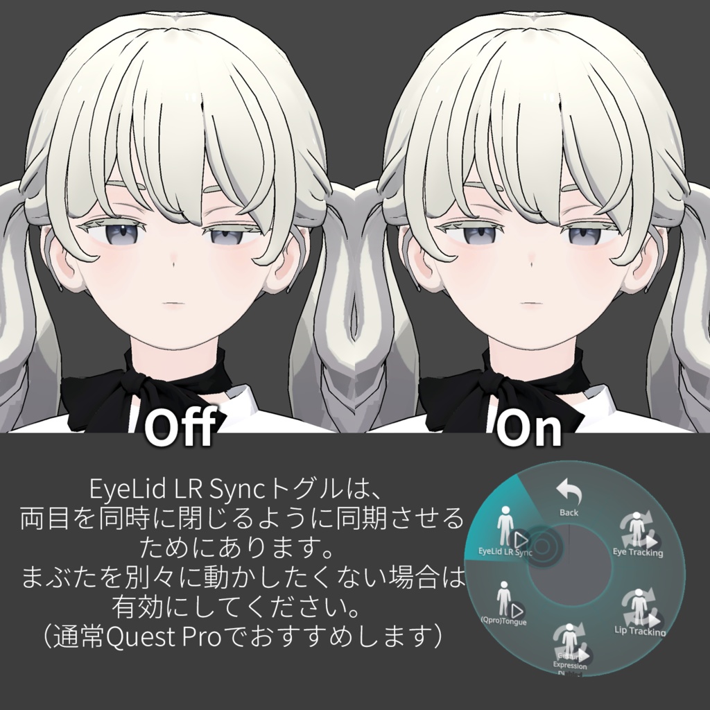 Grus's FacialTracking Setting