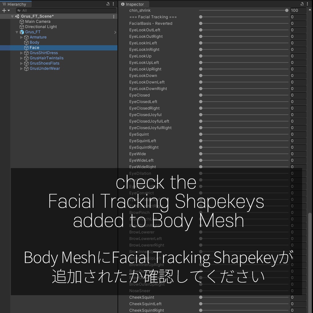 Grus's FacialTracking Setting