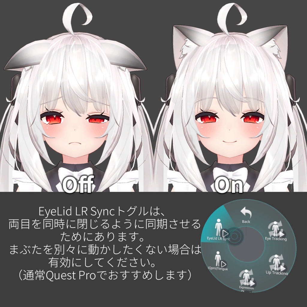 Maya(舞夜)'s FacialTracking Setting