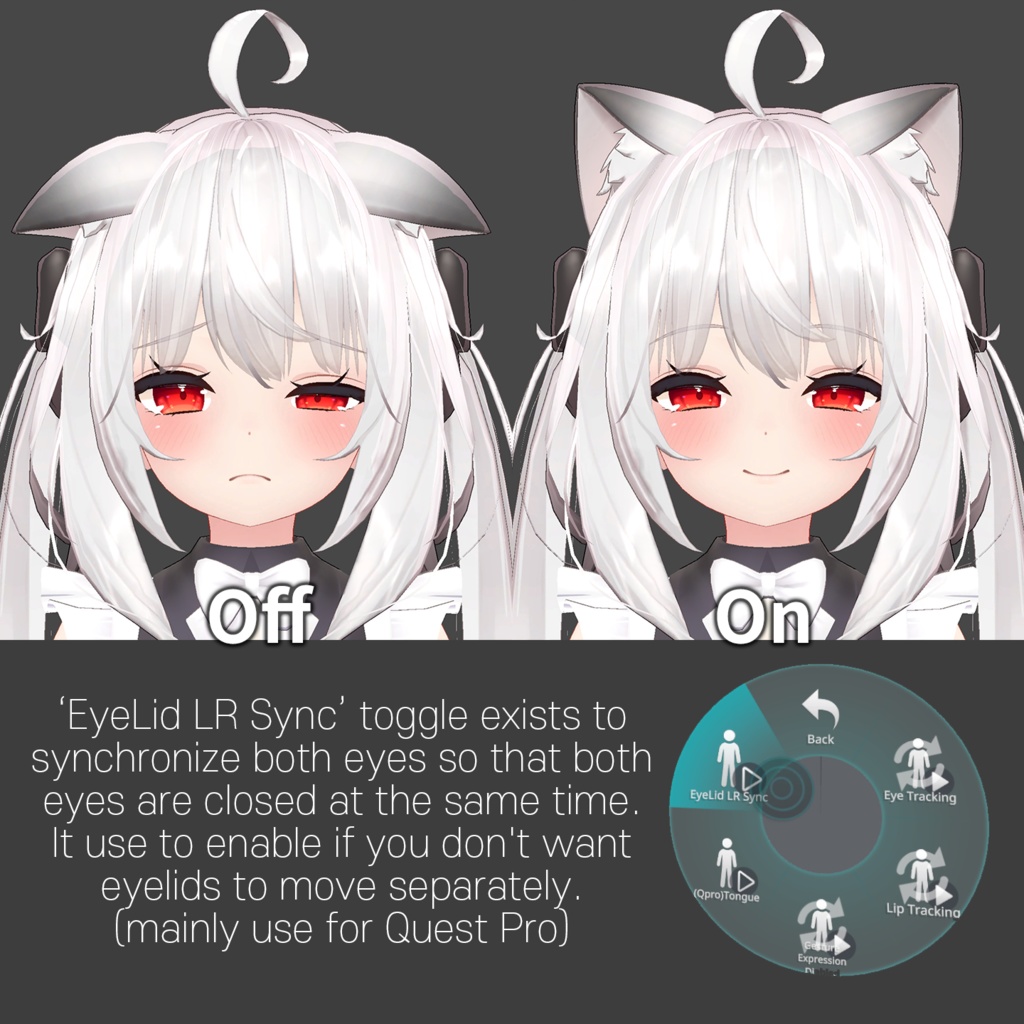 Maya(舞夜)'s FacialTracking Setting