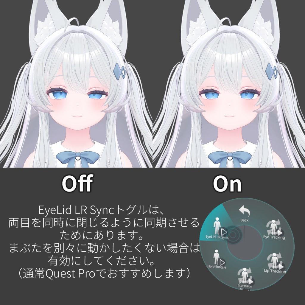 Lime(ライム)'s FacialTracking Setting