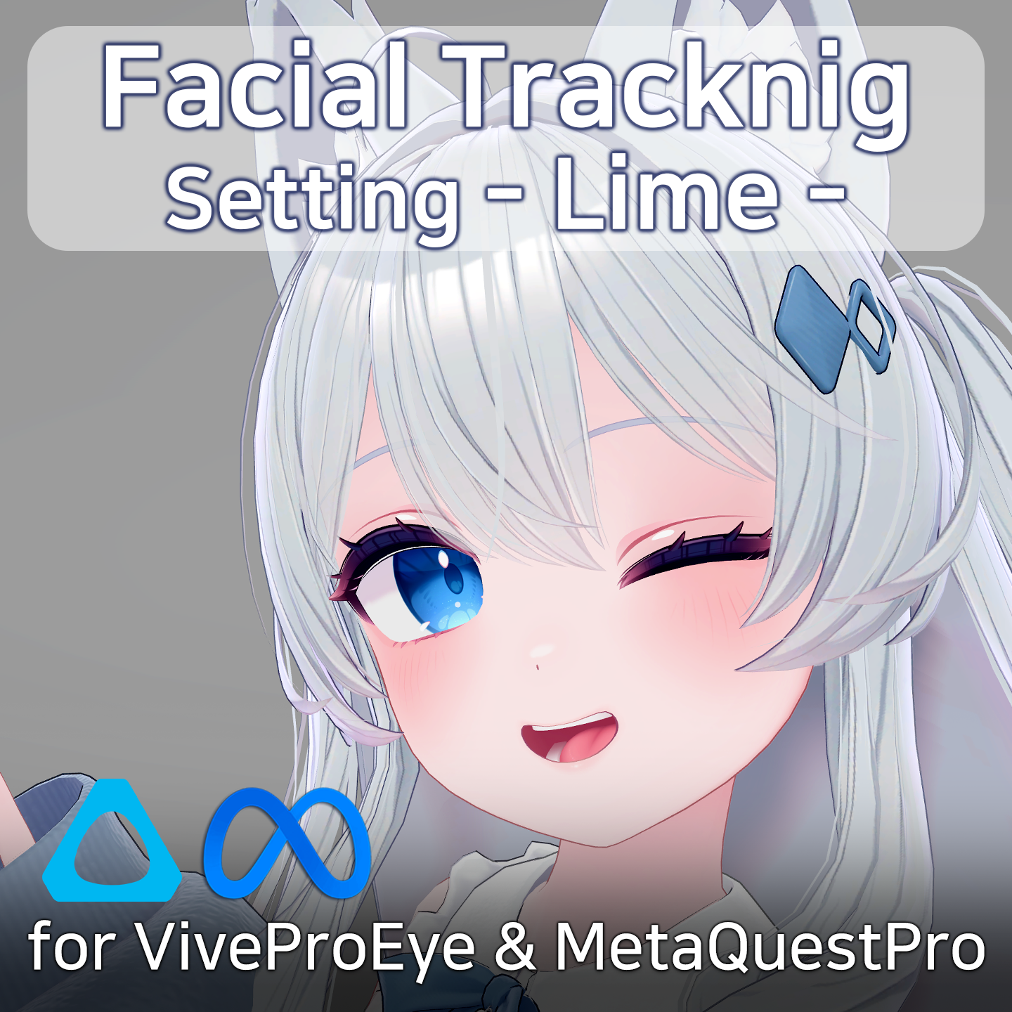 FacialTracking Setting for Lime