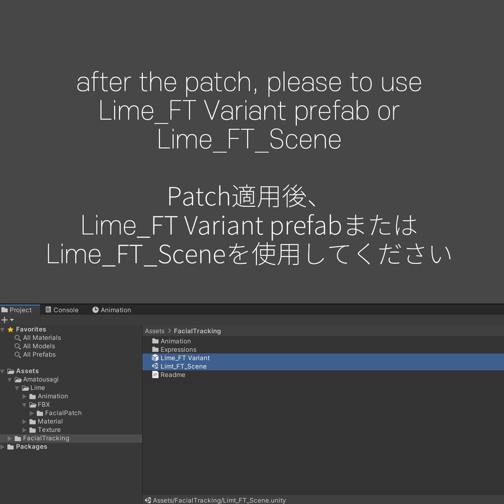 Lime(ライム)'s FacialTracking Setting