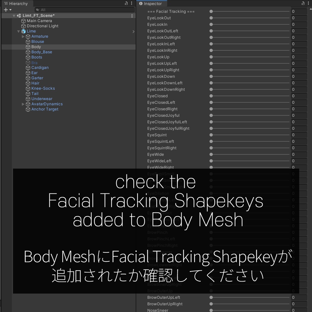Lime(ライム)'s FacialTracking Setting