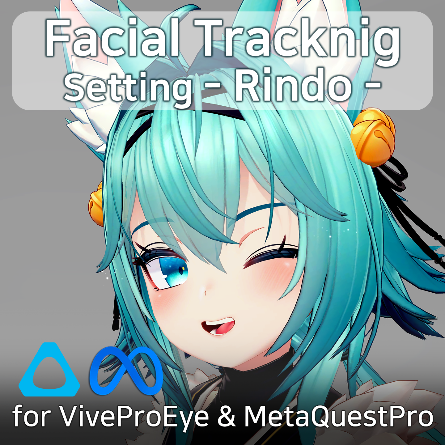 FacialTracking Setting for Rindo