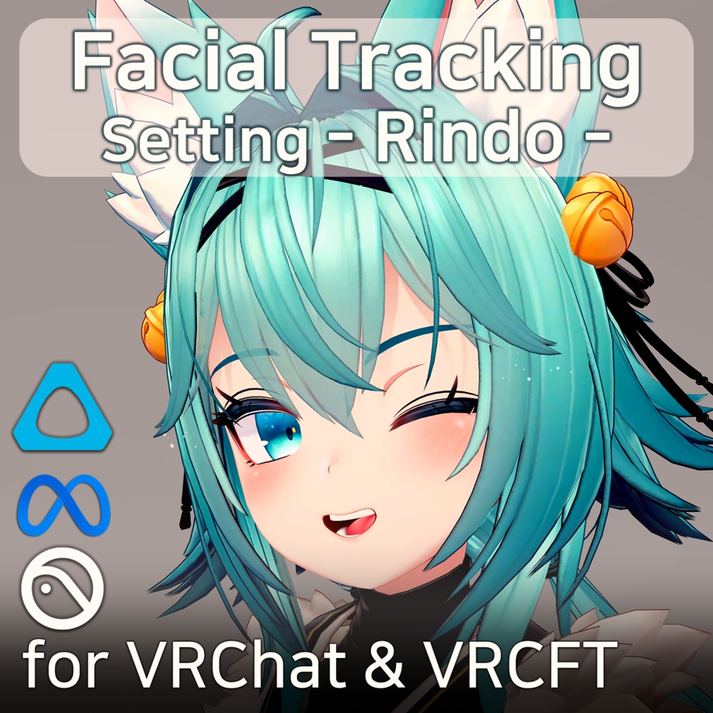 Rindo(竜胆)'s FacialTracking Setting