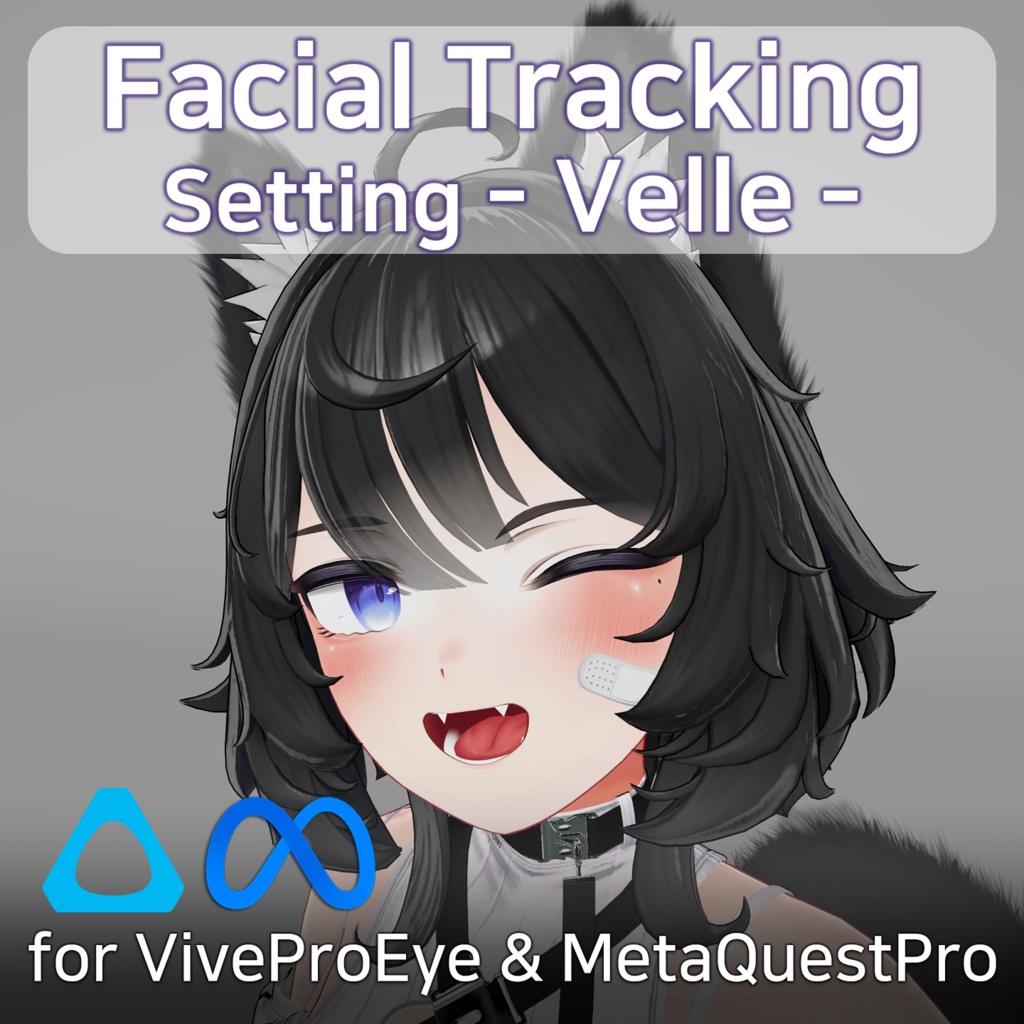 Velle(ヴェール)'s FacialTracking Setting