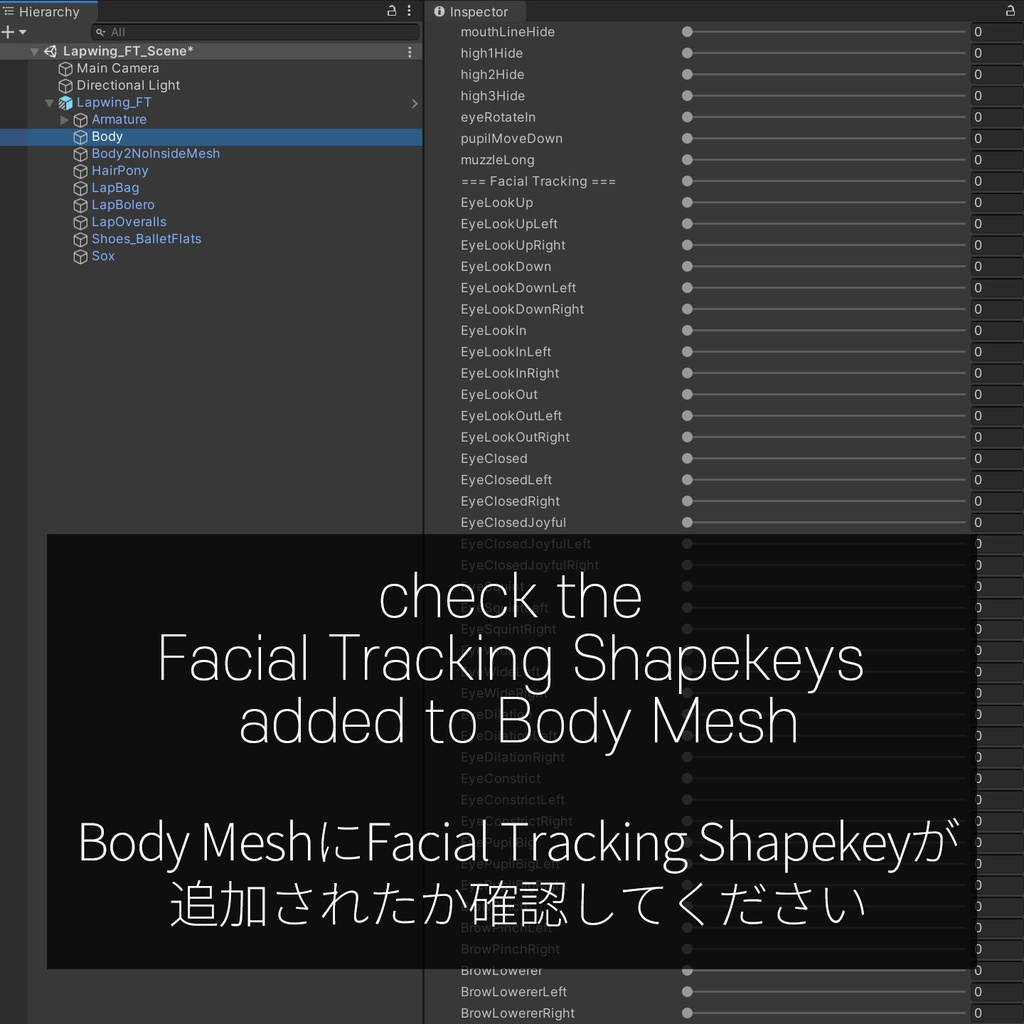 Lapwing's FacialTracking Setting