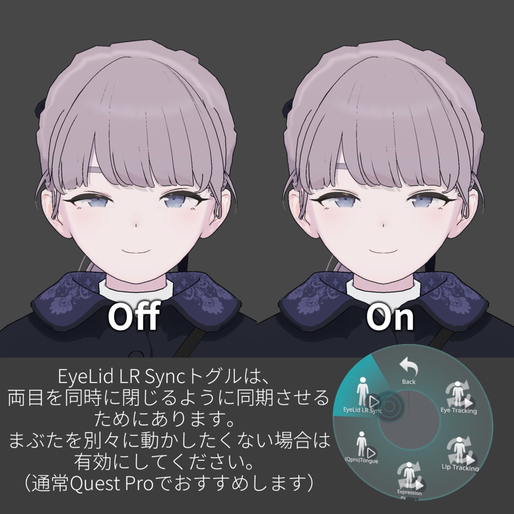 Lapwing's FacialTracking Setting