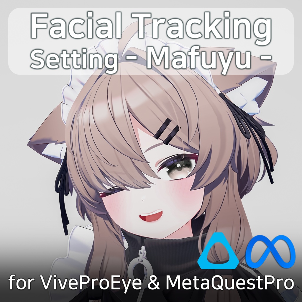 Mafuyu(真冬)'s FacialTracking Setting