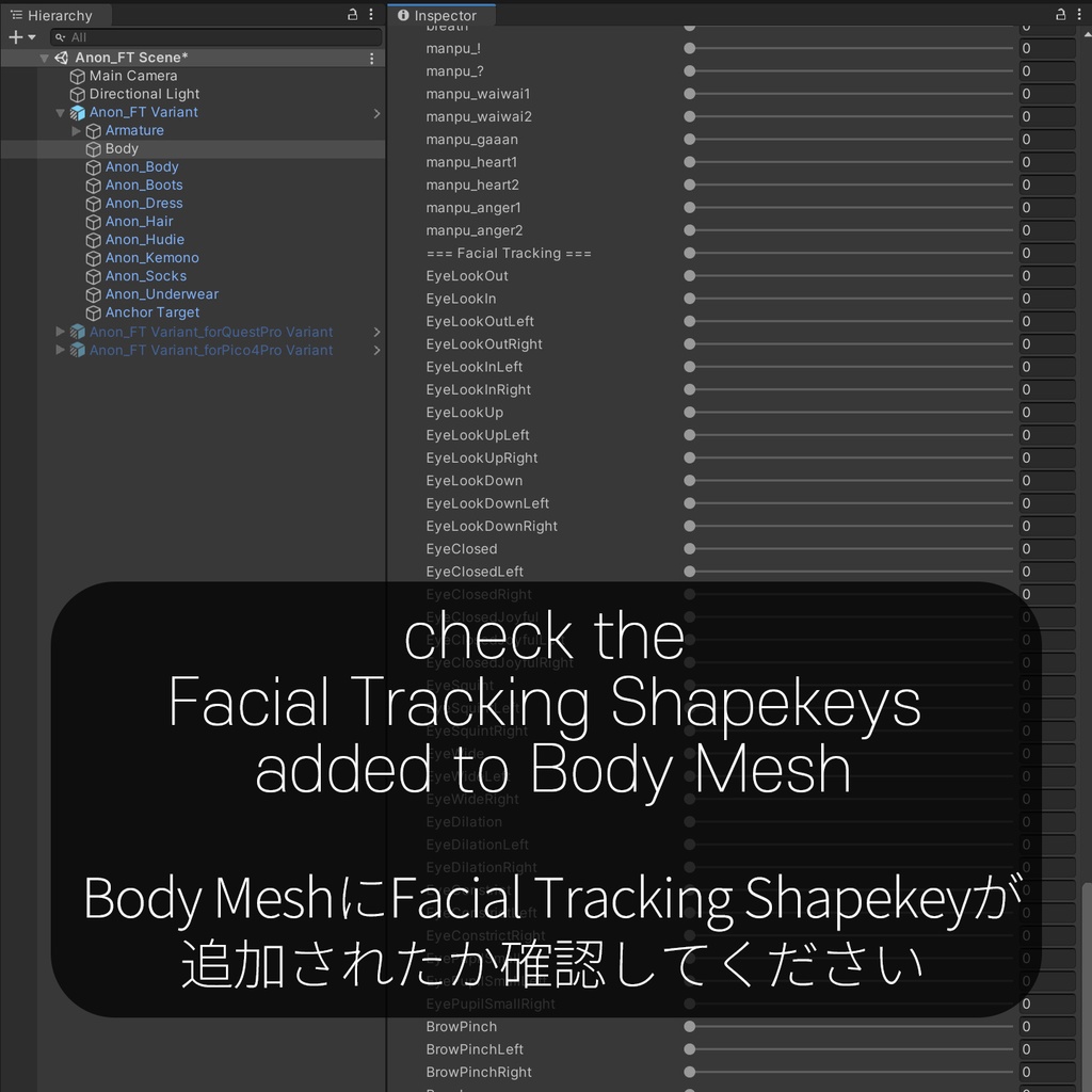 Anon(あのん)'s FacialTracking Setting