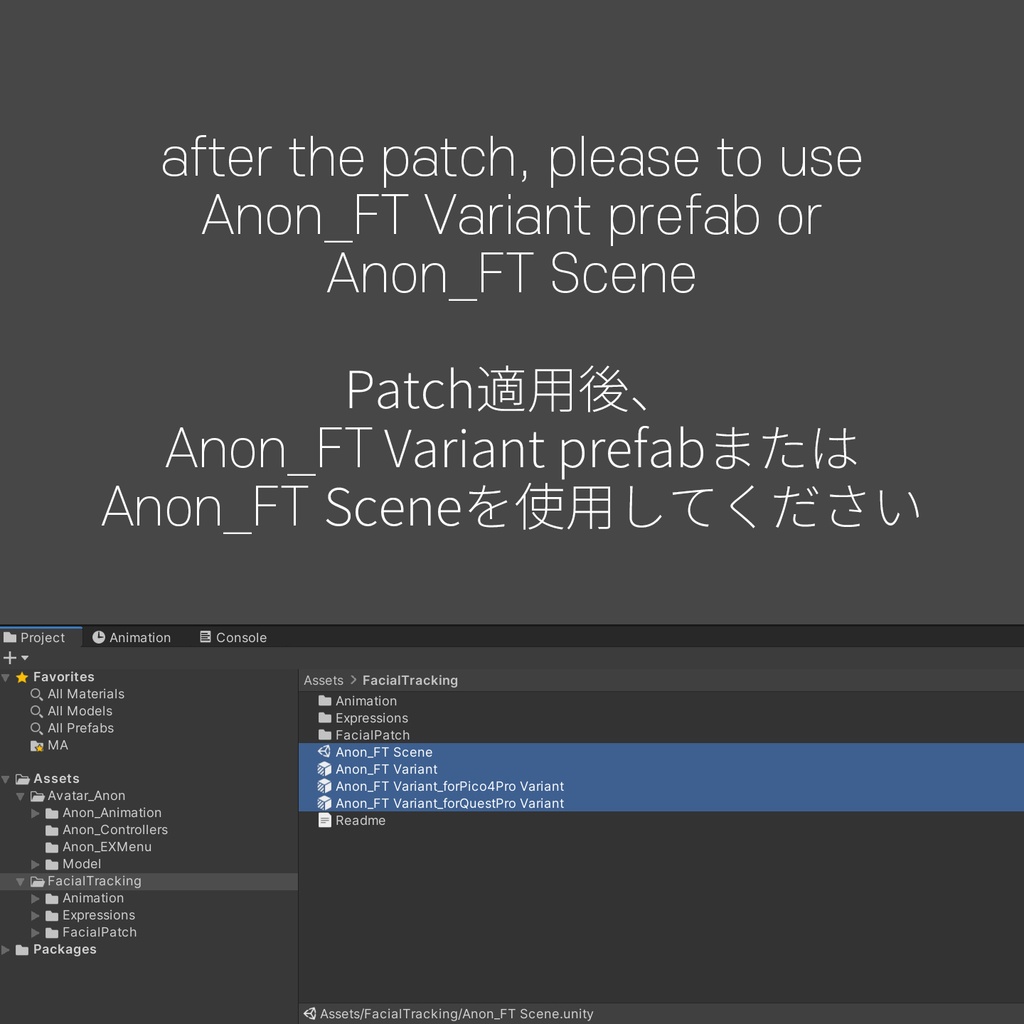 Anon(あのん)'s FacialTracking Setting