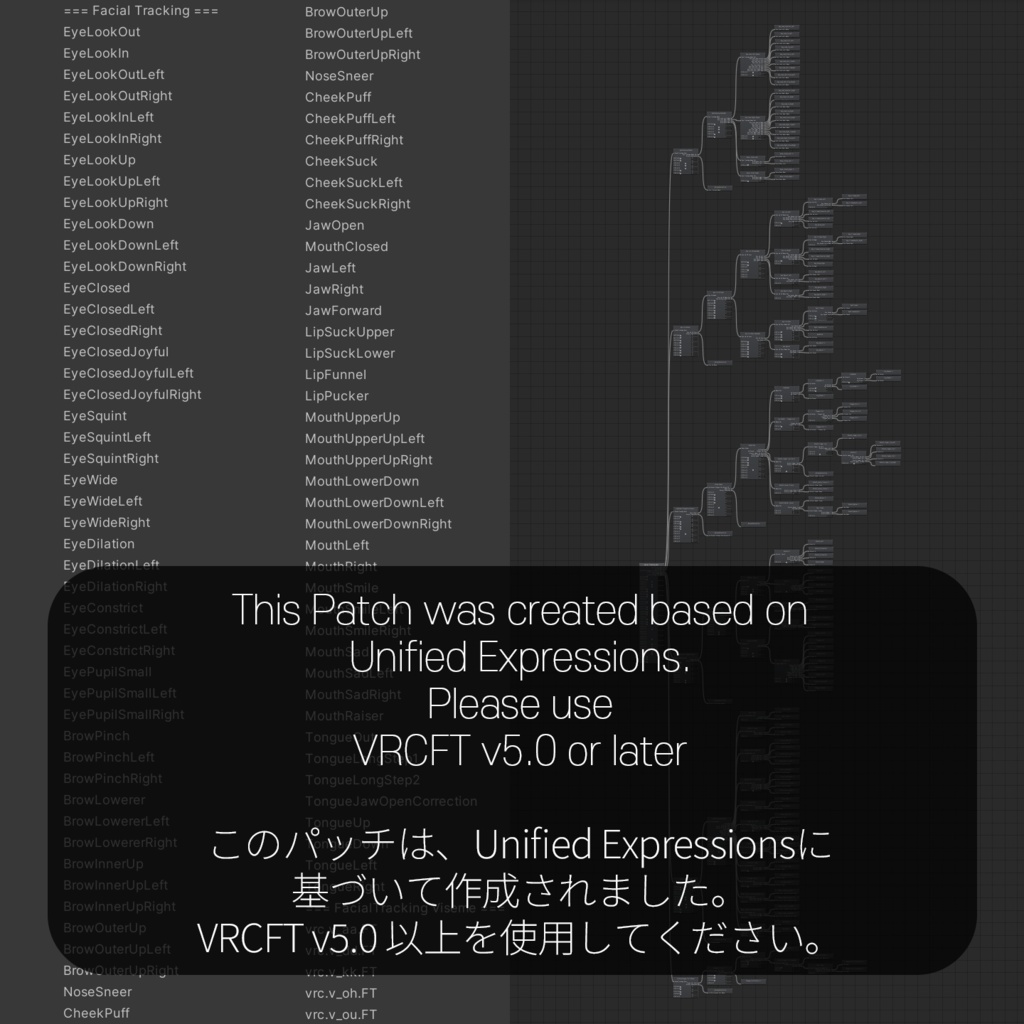 Anon(あのん)'s FacialTracking Setting