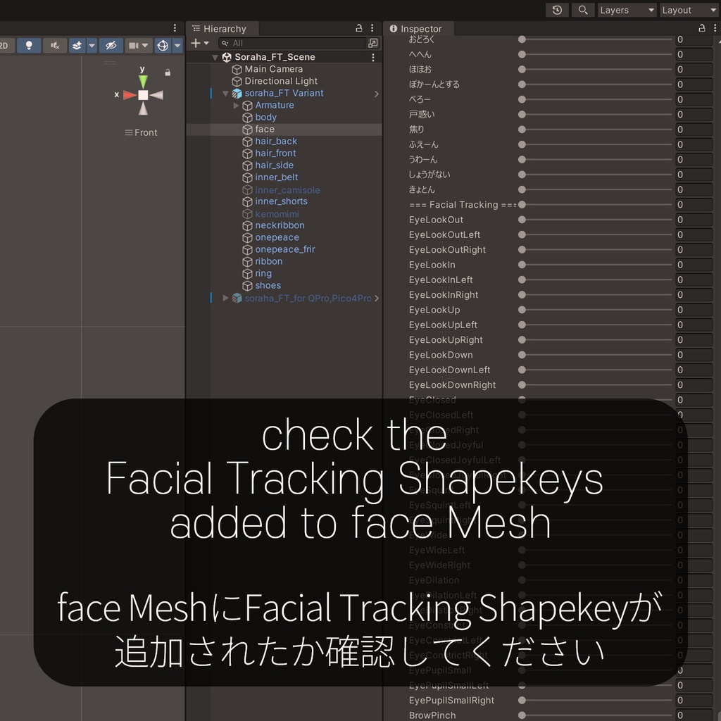 Soraha(ソラハ)'s FacialTracking Setting