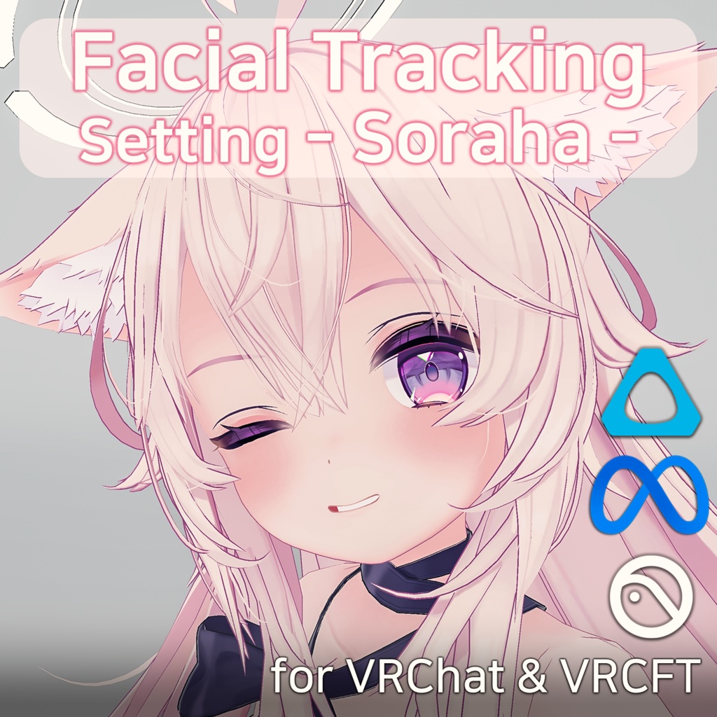 Soraha(ソラハ)'s FacialTracking Setting
