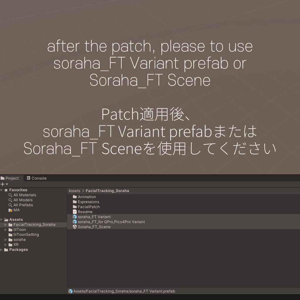 Soraha(ソラハ)'s FacialTracking Setting