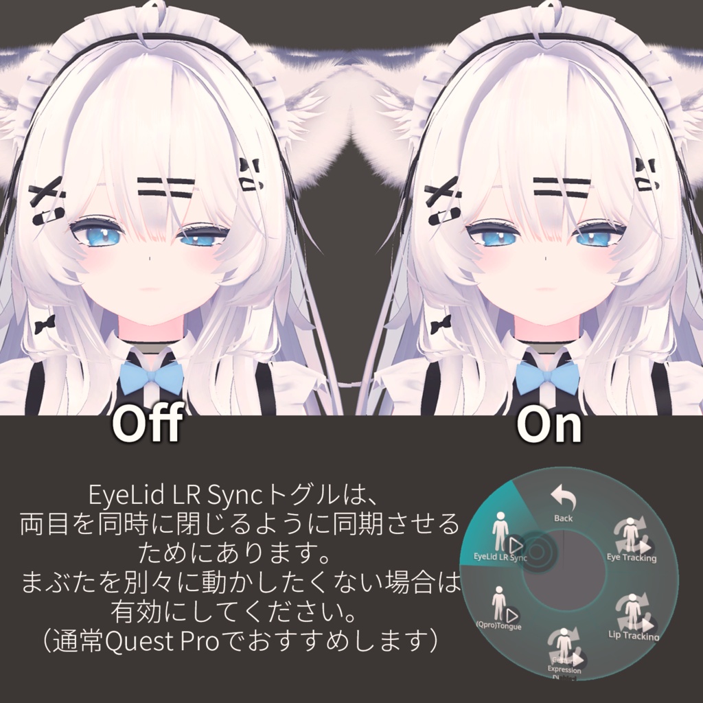 Mizuki(瑞希)'s FacialTracking Setting