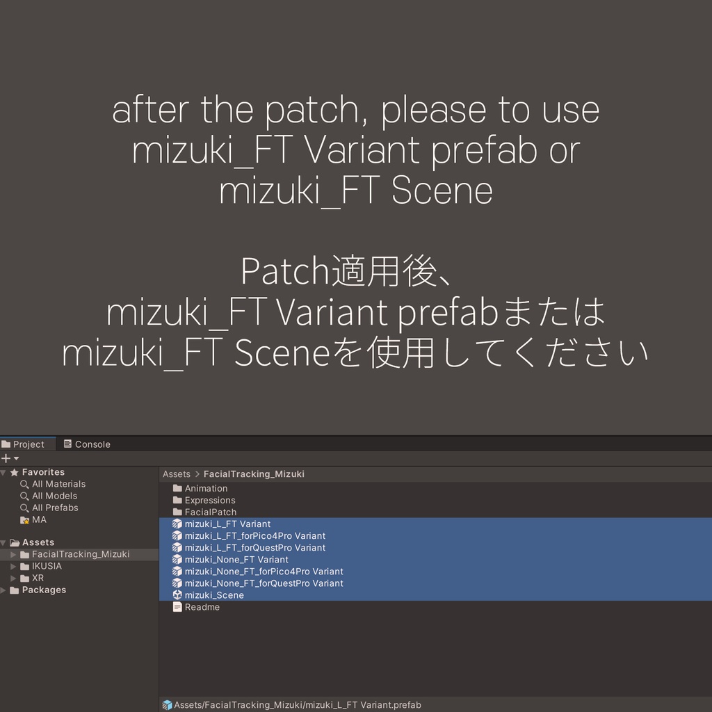 Mizuki(瑞希)'s FacialTracking Setting