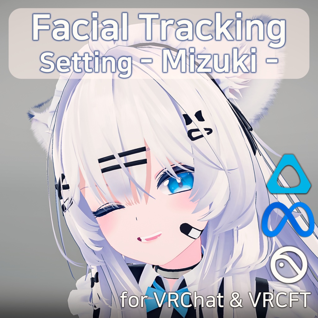 Mizuki(瑞希)'s FacialTracking Setting