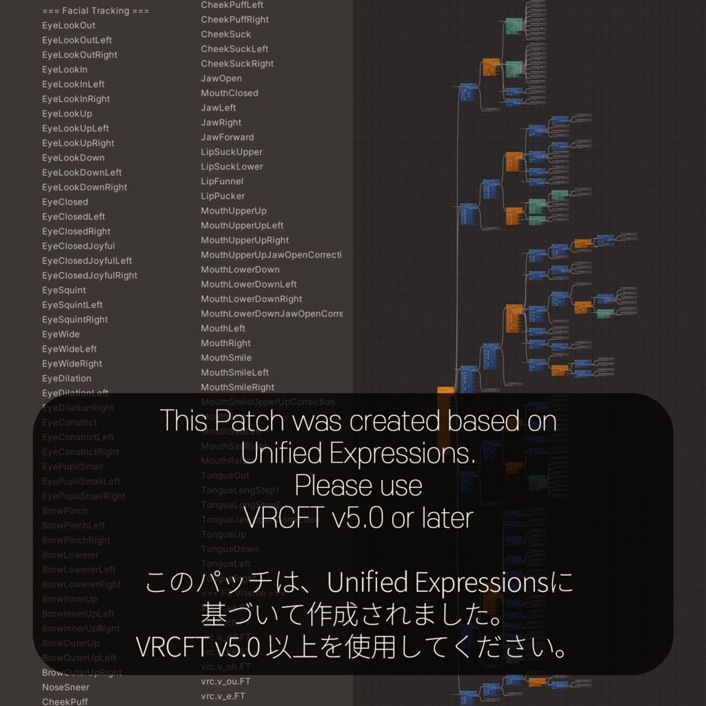 Mizuki(瑞希)'s FacialTracking Setting