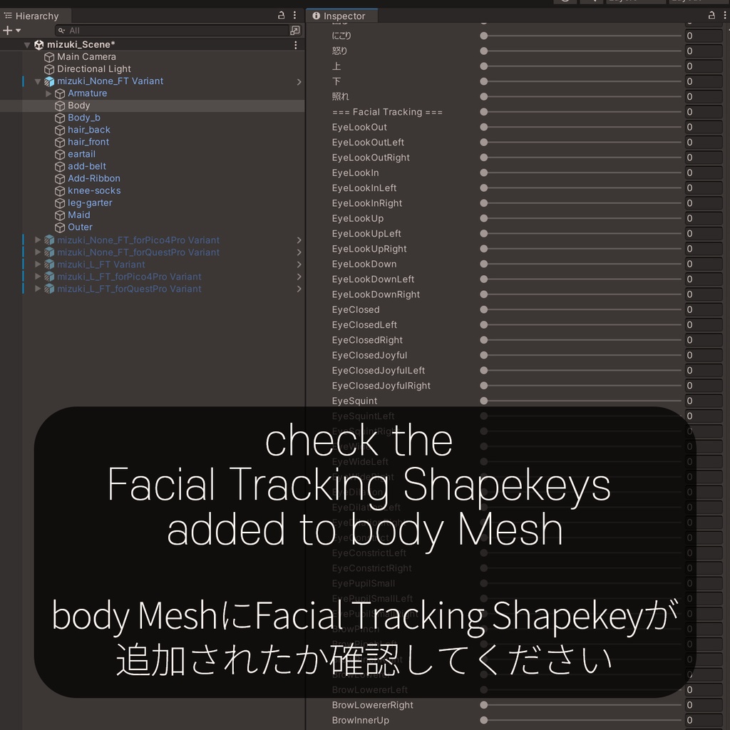 Mizuki(瑞希)'s FacialTracking Setting