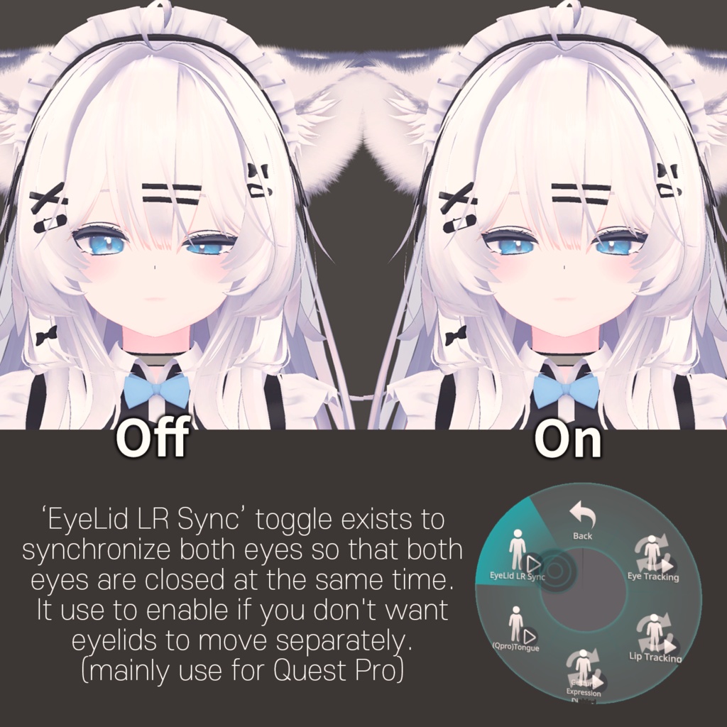 Mizuki(瑞希)'s FacialTracking Setting