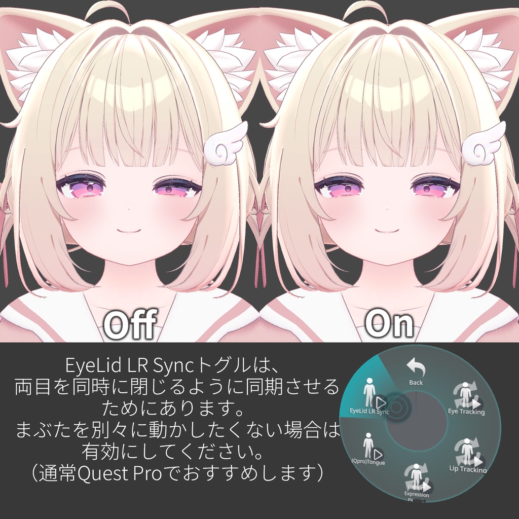 Chiffon(シフォン)'s FacialTracking Setting