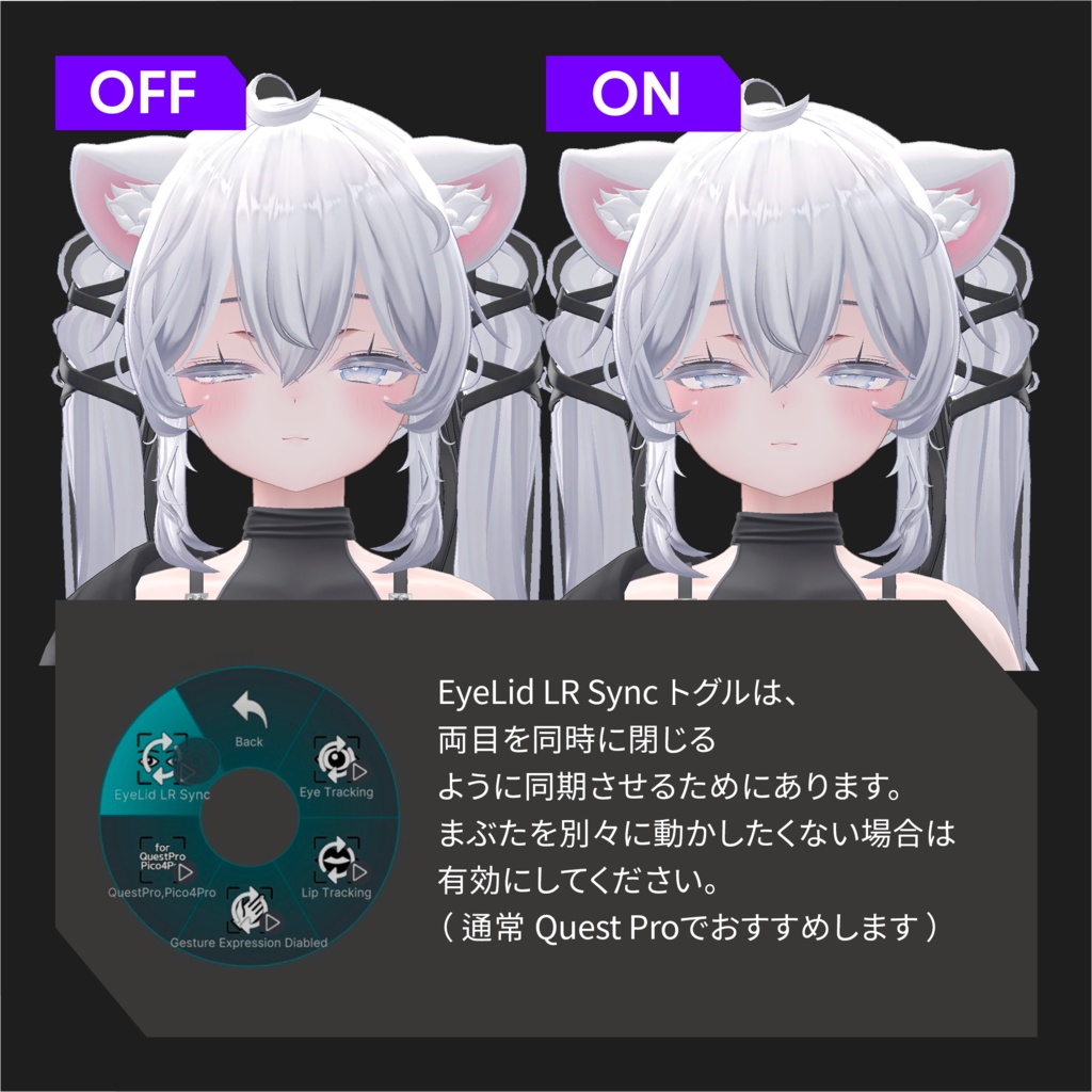 Sio(しお)'s FacialTracking Setting