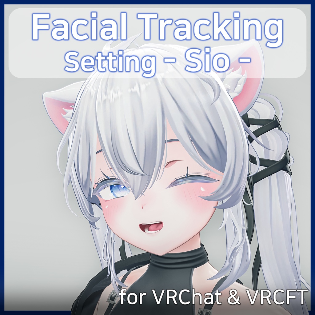Sio(しお)'s FacialTracking Setting