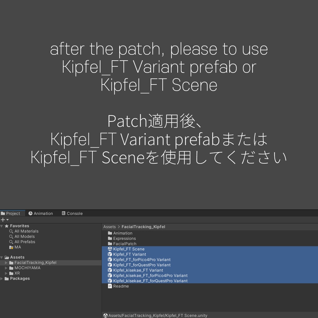Kipfel(キプフェル)'s FacialTracking Setting