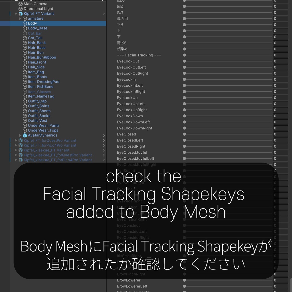 Kipfel(キプフェル)'s FacialTracking Setting
