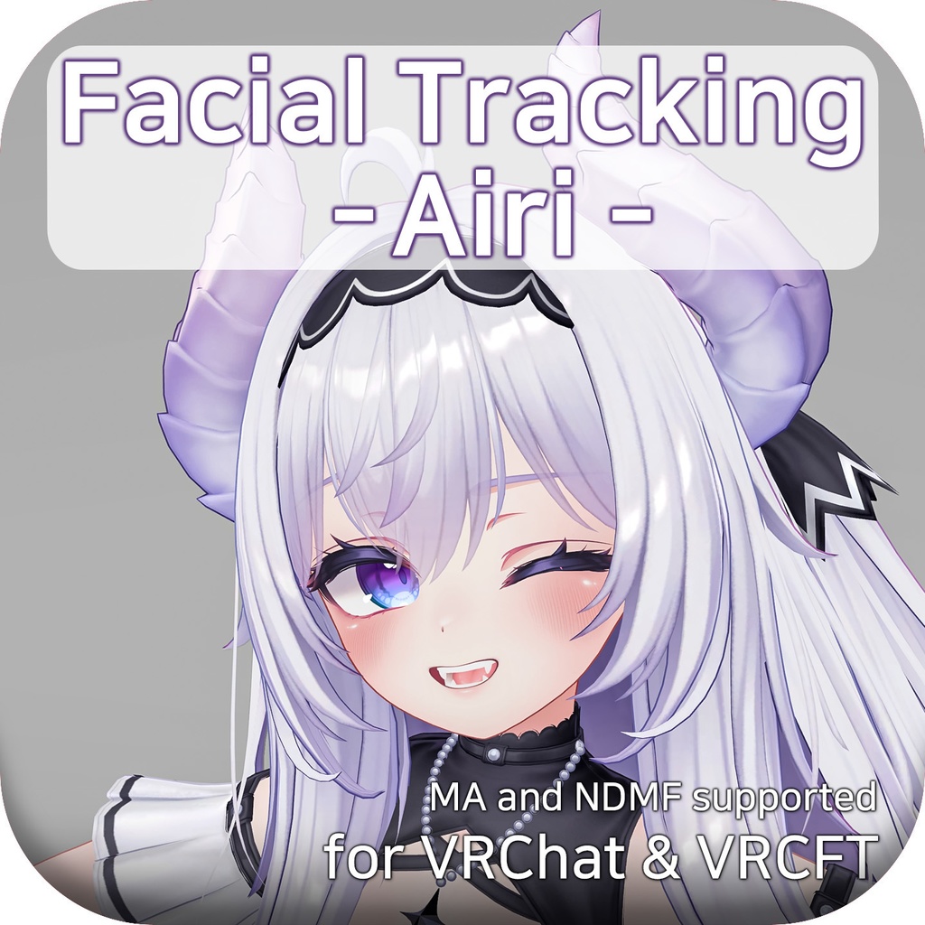 Airi(愛莉)'s FacialTracking Setting