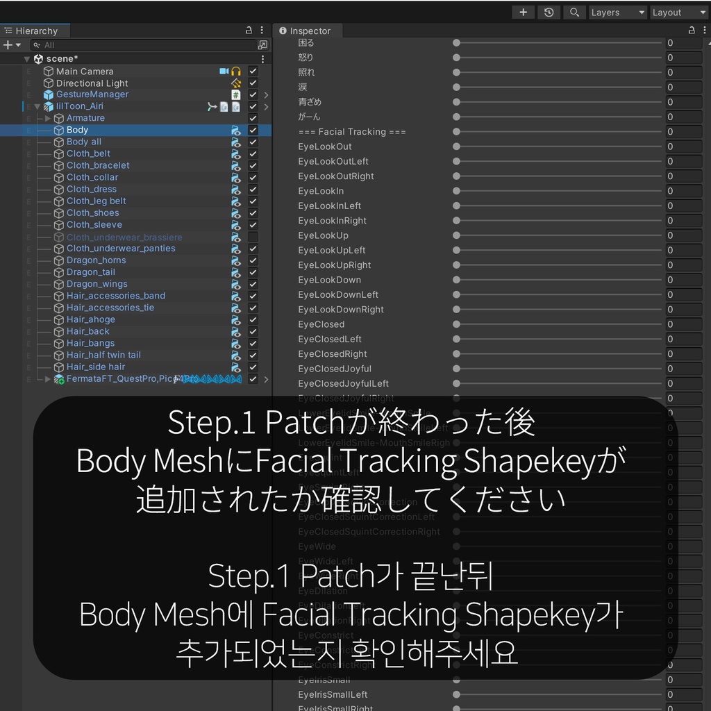 Airi(愛莉)'s FacialTracking Setting