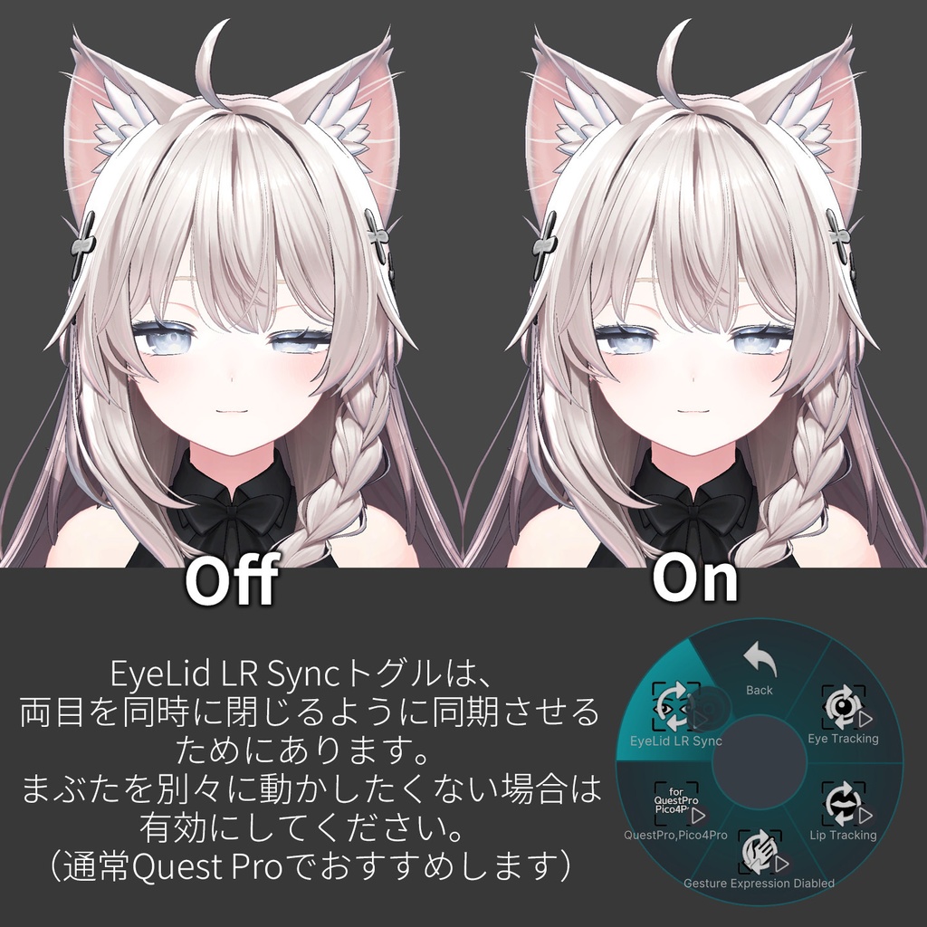 Shinano(しなの)'s FacialTracking Setting