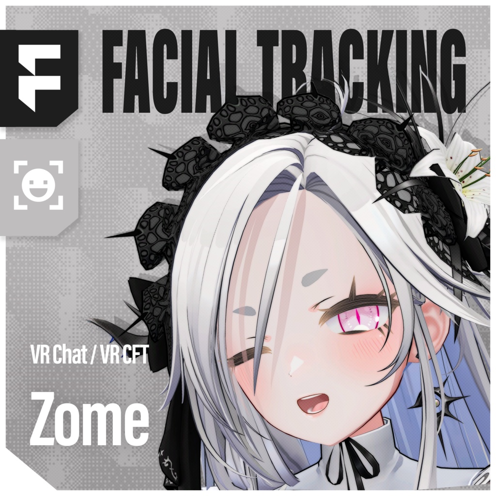 Zome(ゾメ)'s FacialTracking Setting