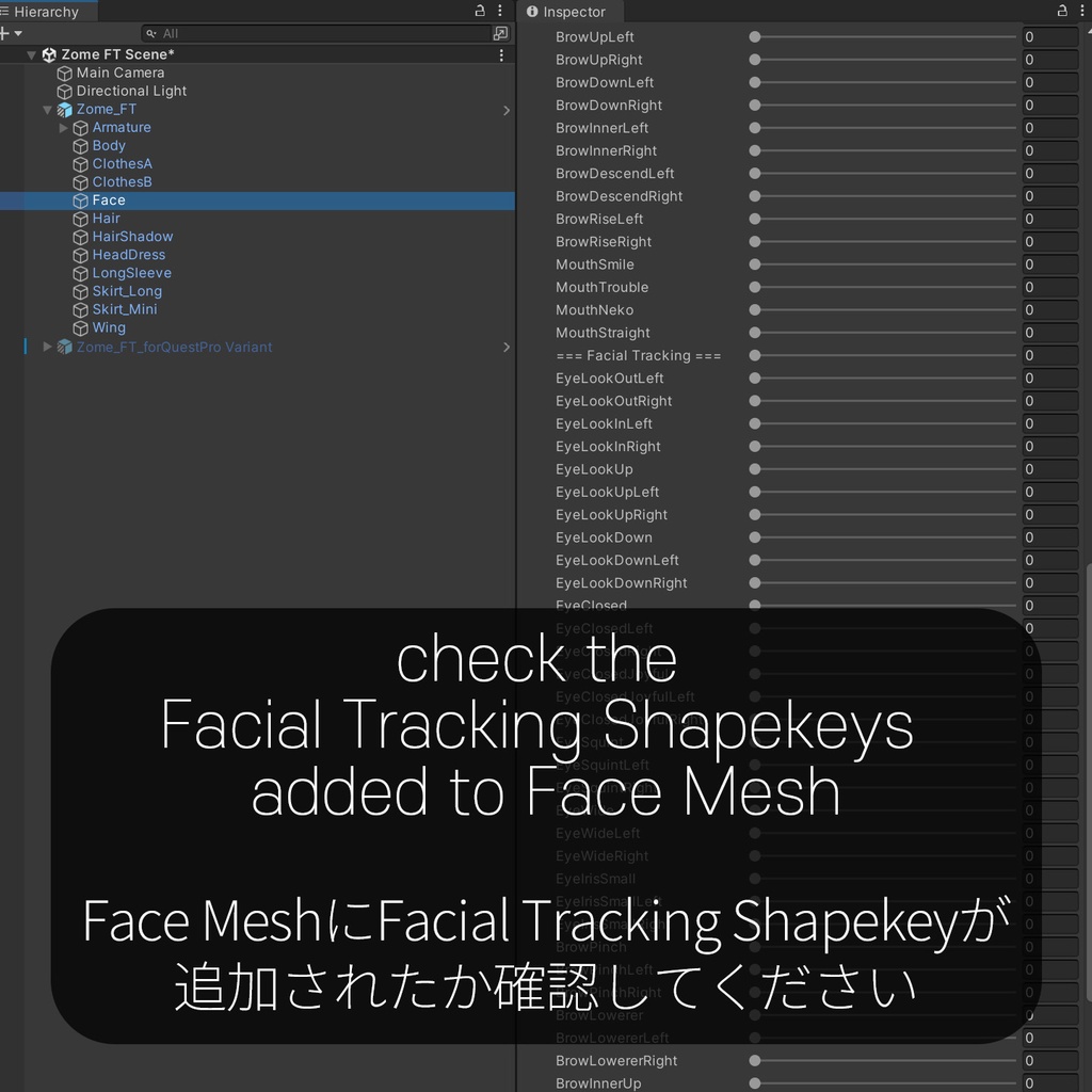 Zome(ゾメ)'s FacialTracking Setting