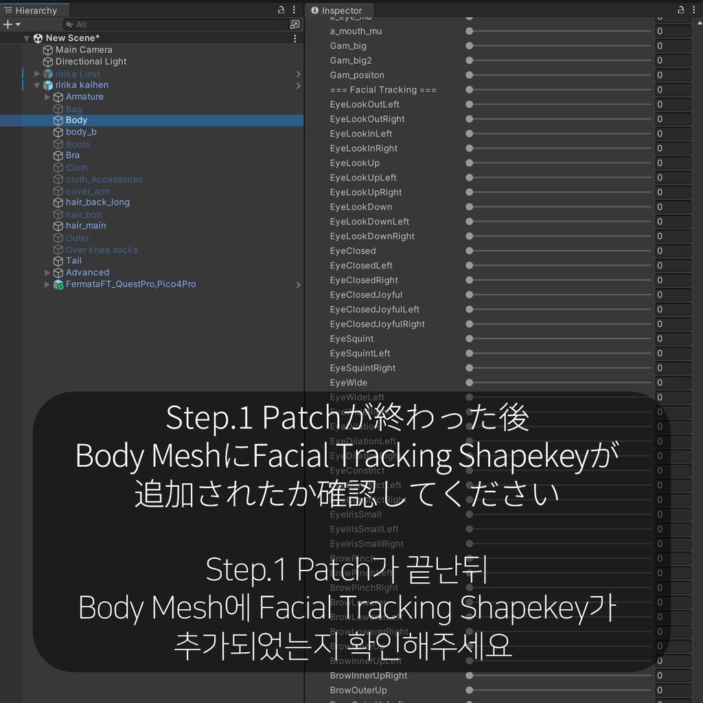 Ririka(りりか)'s FacialTracking Setting