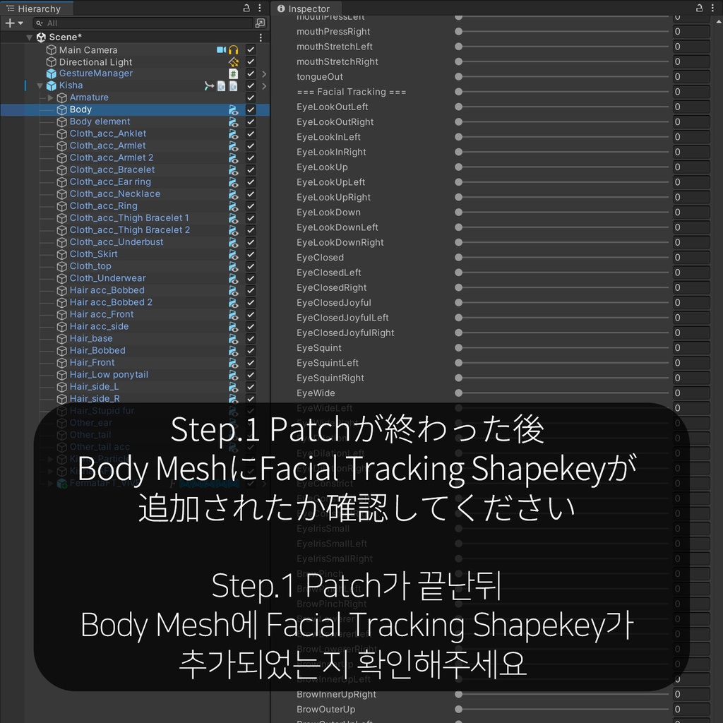 Kisha(キシャ)'s FacialTracking Setting