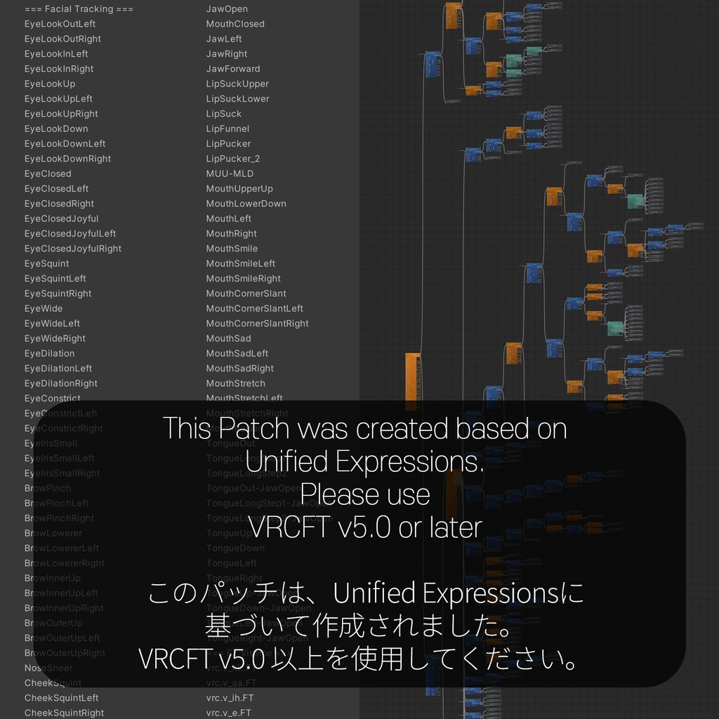 Kisha(キシャ)'s FacialTracking Setting