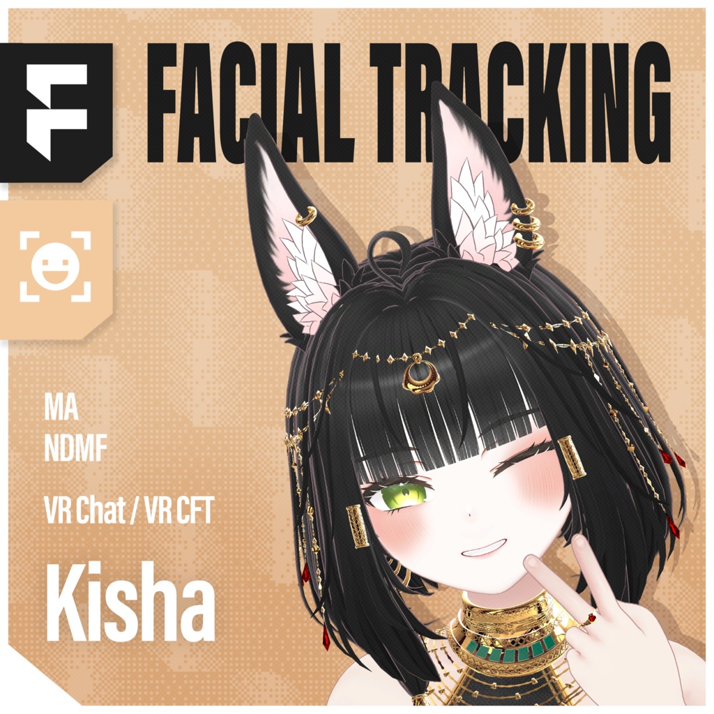 Kisha(キシャ)'s FacialTracking Setting