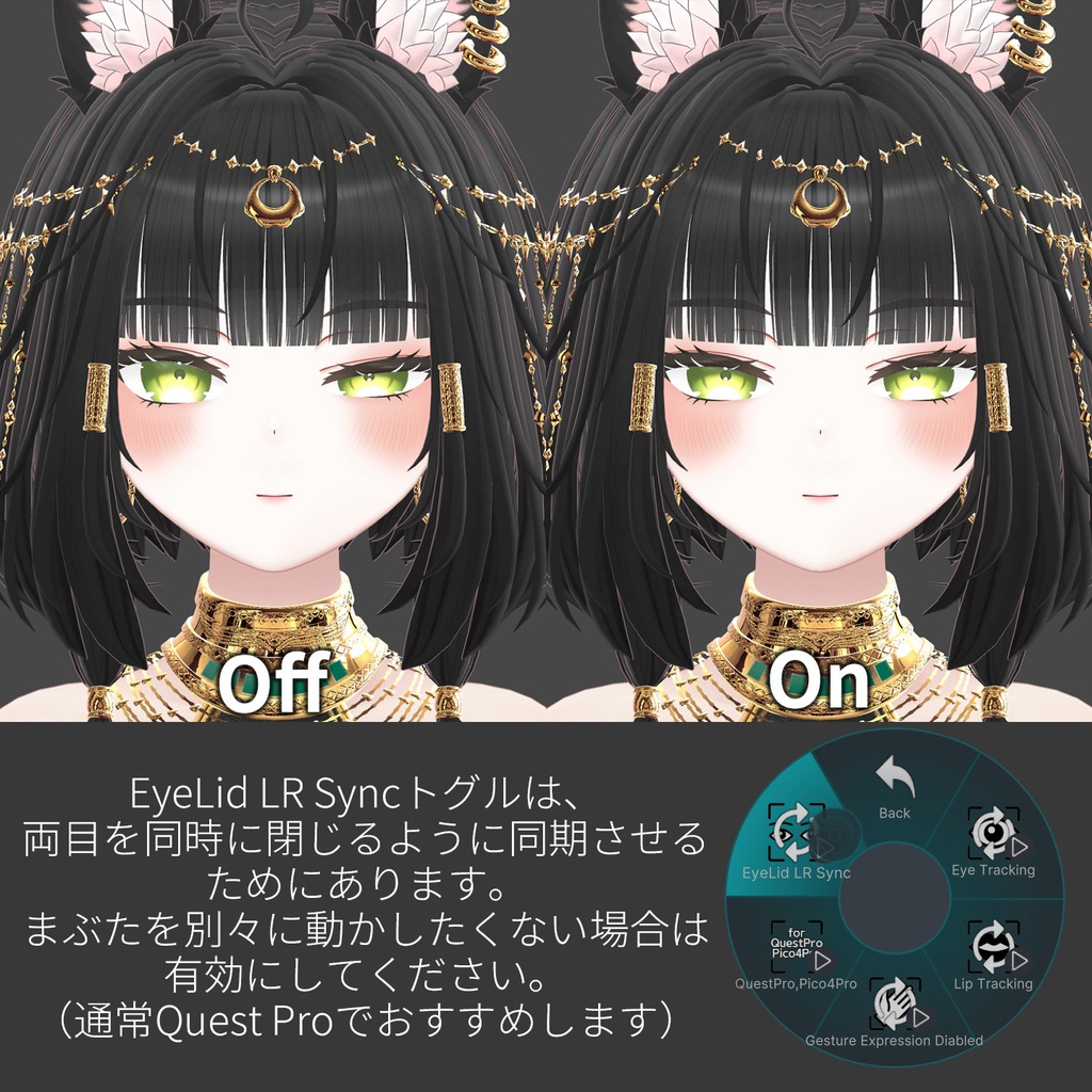 Kisha(キシャ)'s FacialTracking Setting