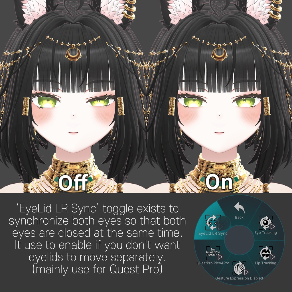 Kisha(キシャ)'s FacialTracking Setting