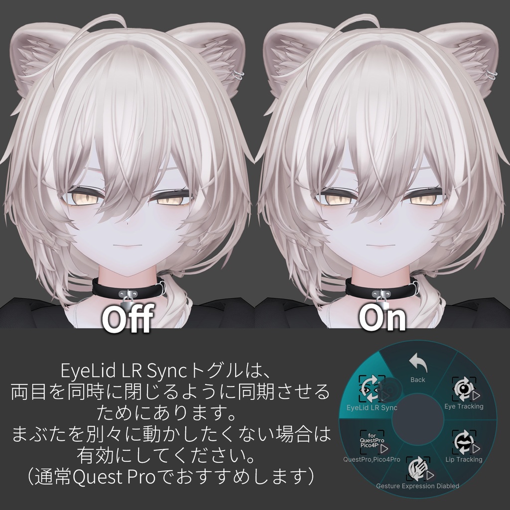 Mao(真央)'s FacialTracking Setting