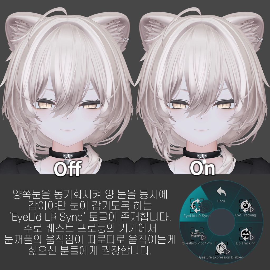 Mao(真央)'s FacialTracking Setting
