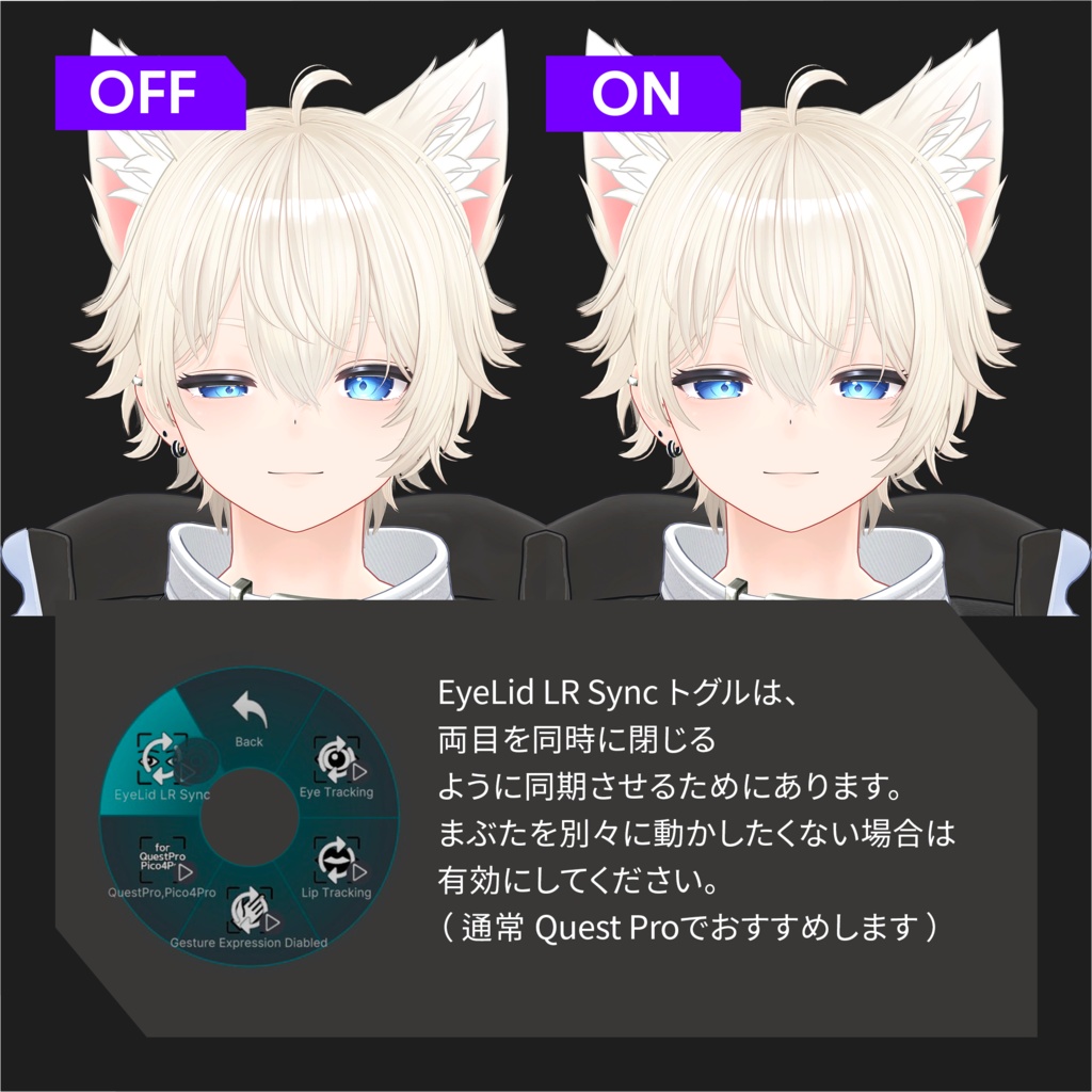 Kanata(彼方)'s FacialTracking Setting