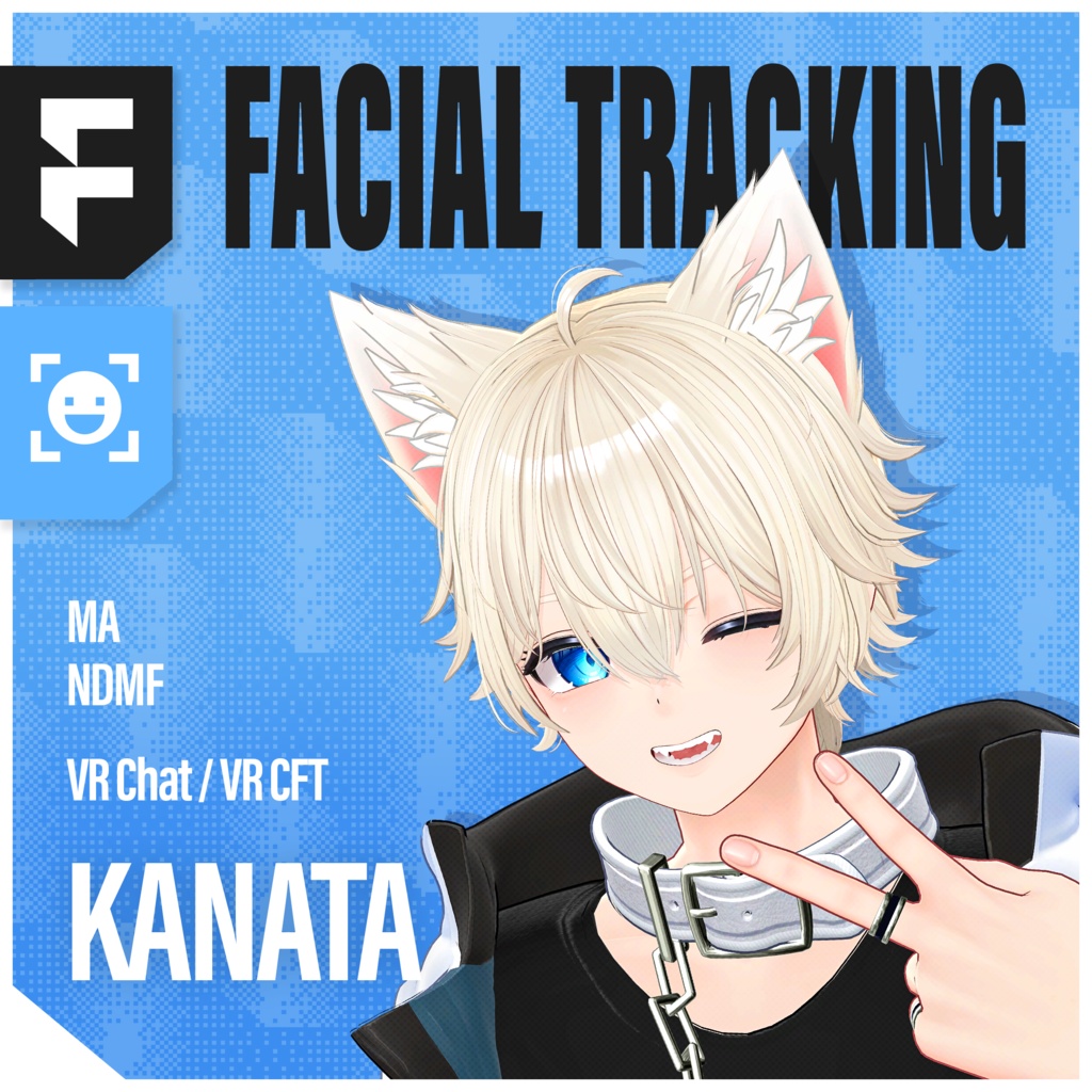 Kanata(彼方)'s FacialTracking Setting