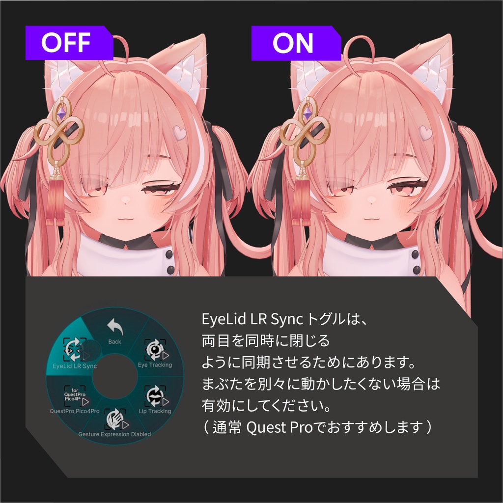 ICHIGO(イチゴ)'s FacialTracking Setting